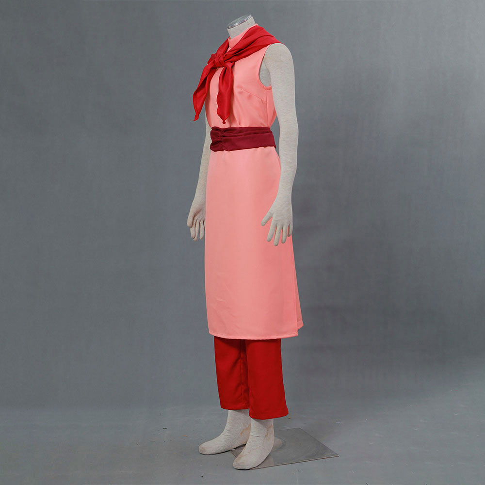 Dragon Ball Adult Chi-Chi Pink Cosplay Costume for Women & Kids - 未标题-1-恢复的_0006_F106-七龙珠-琪琪装2代-人妻版 2.jpg
